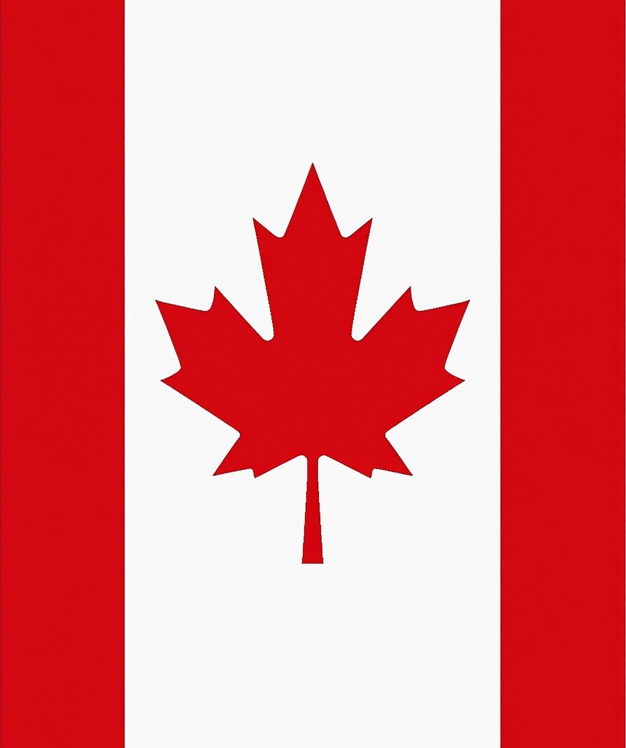 Red White Maple Leaf Banner Rug