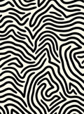Black Cream Abstract Zebra Stripe Rug