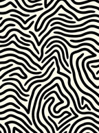 Black Cream Abstract Zebra Stripe Rug