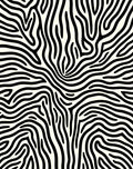 Bold Black White Zebra Swirl Rug