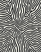 Bold Black White Zebra Swirl Rug