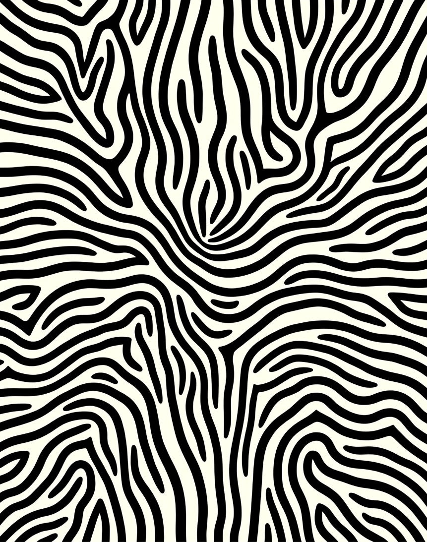 Bold Black White Zebra Swirl Rug