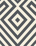 Charcoal Diamond Geo Illusion Rug