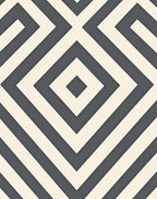 Charcoal Diamond Geo Illusion Rug