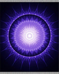 Radiant Violet Sunburst Medallion Rug