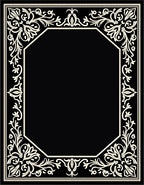Ornate Black White Floral Frame Rug
