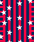 Red Blue Star Stripes Rug