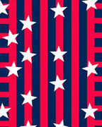 Red Blue Star Stripes Rug