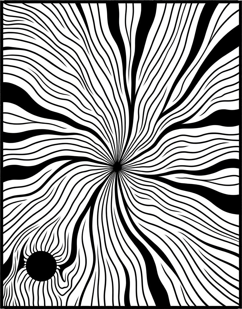Bold White Black Radial Flow Rug