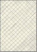 Cream and Black Diagonal Crosshatch Rug
