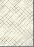 Cream and Black Diagonal Crosshatch Rug
