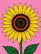 Vibrant Yellow Sunflower On Pink Rug