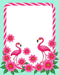 Pink Flamingo Tropical Floral Border Rug
