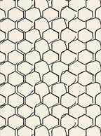 Cream Black Hexagonal Organic Grid Rug