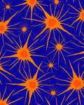 Orange Exploding Stars Blue Background Rug