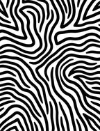 Abstract Black White Zebra Print Rug