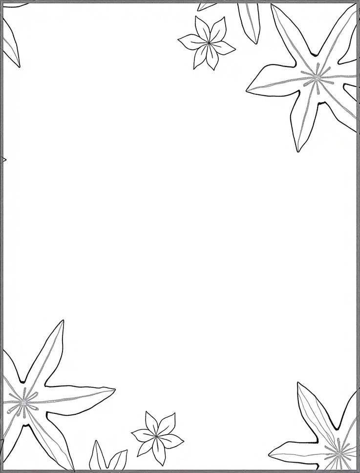 Classic Starflower Border Black White Rug