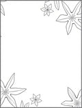 Classic Starflower Border Black White Rug
