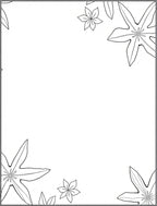 Classic Starflower Border Black White Rug
