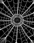 Black White Radial Spiderweb Rug