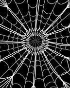 Black White Radial Spiderweb Rug