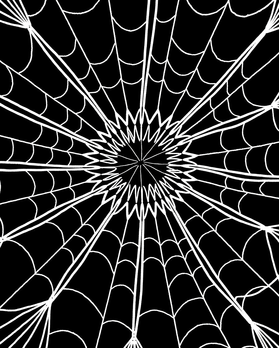 Black White Radial Spiderweb Rug