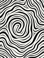 Monochromatic Black White Swirl Stripes Rug