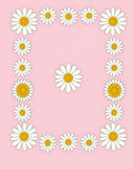 Vintage Pink Daisy Border Rug