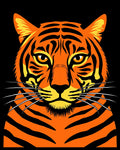 Bold Orange Tiger Face Portrait Rug