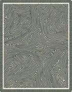 Black White Abstract Topographical Lines Rug