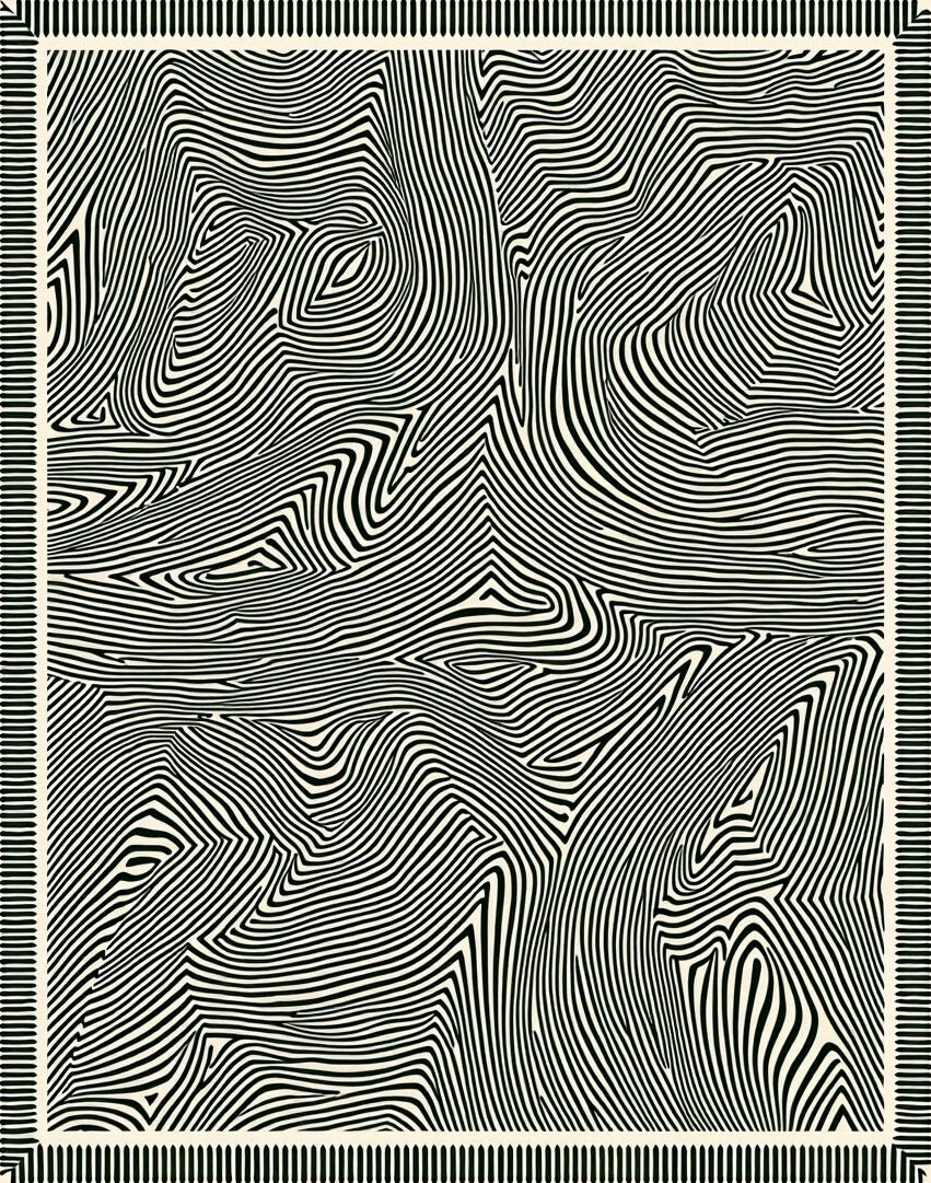 Black White Abstract Topographical Lines Rug