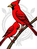 Vibrant Red Cardinal Branch Illustration Rug