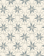 Geometric Starburst Cream Gray Rug