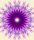 Radial Amethyst Petal Burst Rug