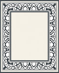 Ornate Ivory Black Floral Border Rug