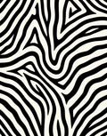 Bold Black Cream Zebra Stripe Rug
