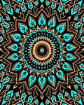 Turquoise Orange Mandala Black Background Rug
