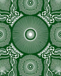 Emerald White Radial Medallion Scroll Rug
