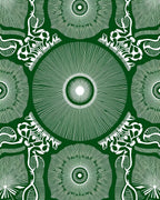 Emerald White Radial Medallion Scroll Rug