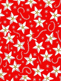 Christmas Star Candy Cane Wonderland Rug