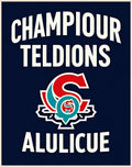 Navy Red Turquoise Emblem Rug