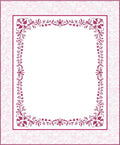 Bright Pink Floral Vine Frame Rug
