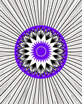 Radiant Black White Purple Starburst Rug