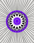 Radiant Black White Purple Starburst Rug