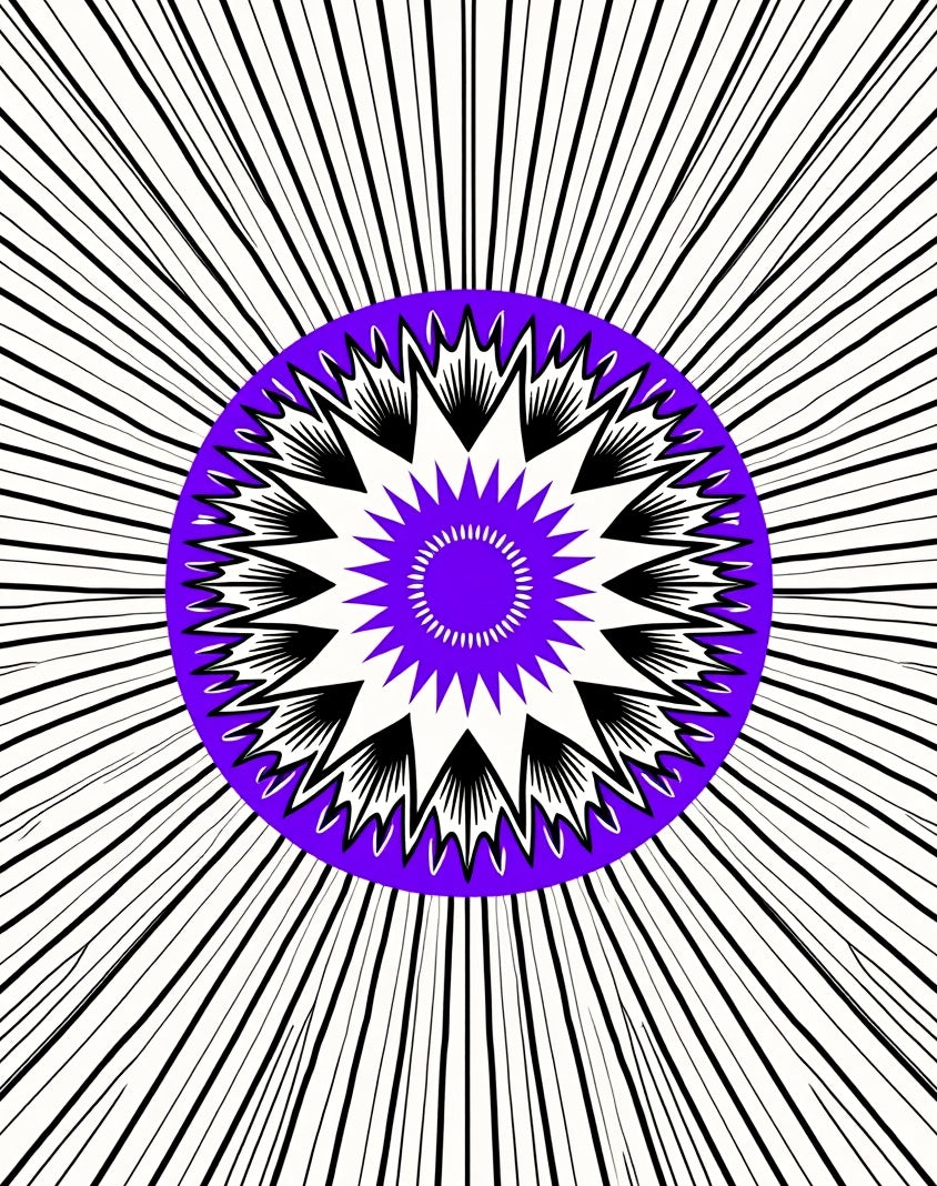 Radiant Black White Purple Starburst Rug