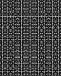 Black and White Ornate Geometric Trellis Rug