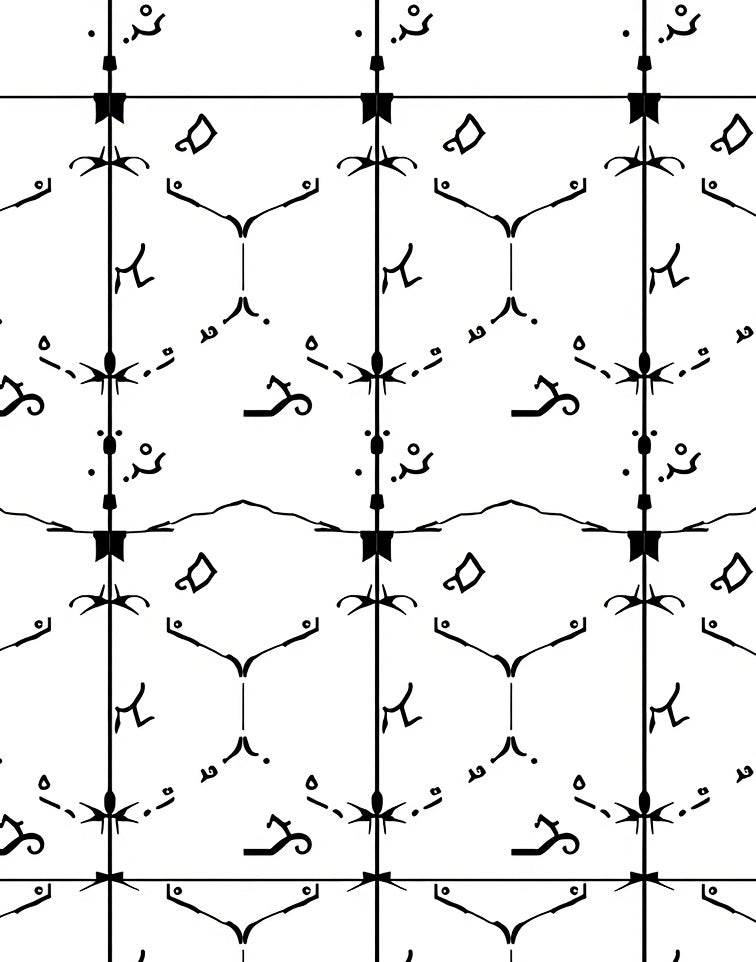 Black And White Geometric Organic Elements Rug