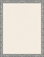 Elegant Cream Black Border Floral Rug