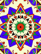 Vibrant Red Sunburst Geometric Medallion Rug