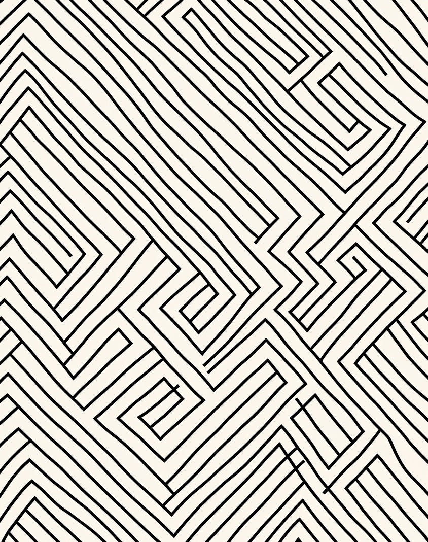 Abstract Black White Maze Line Rug